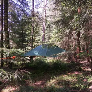 Baumzelt Im Wald , Regen Almanya